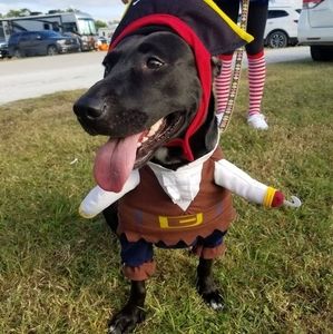 Meet your Posher, Shannon